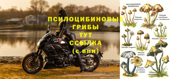 меф VHQ Гусев