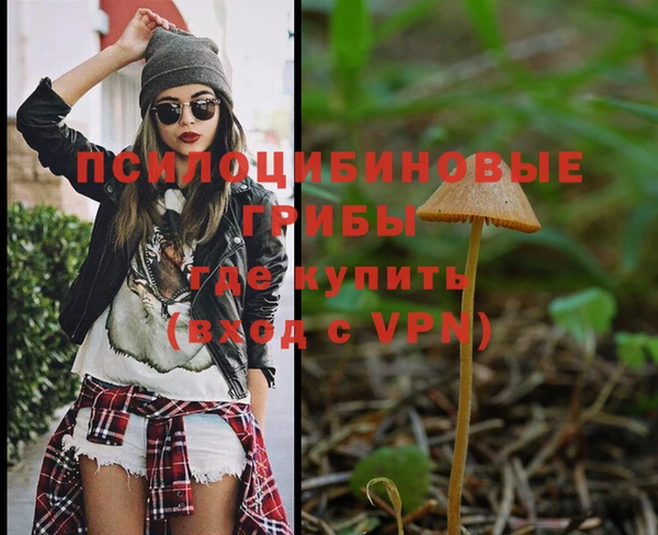 меф VHQ Гусев